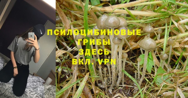 ALPHA PVP Вязьма