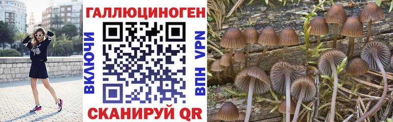 МЕГА ONION  Горняк  Псилоцибиновые грибы прущие грибы  даркнет сайт 